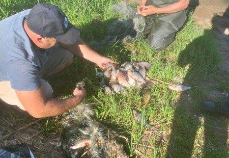 130 килограммов незаконно пойманной рыбы отобрали у браконьеров в Калининградской области: инспекторы Росрыболовства проводят рейды