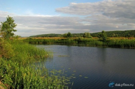 Пруд Агаревский