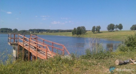 Рыбалка на Тихой Заимке