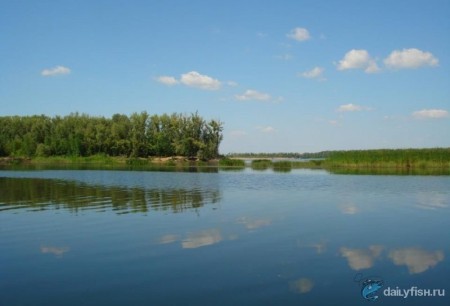 Павловское водохранилище