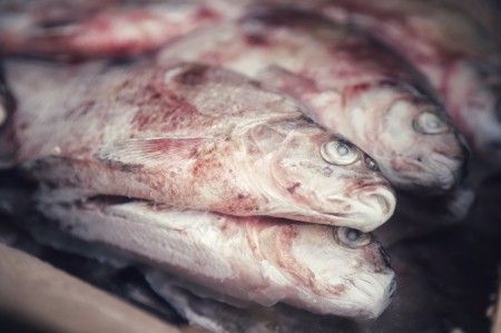 В нижегородские ВУЗы пытались завезти рыбу и мясо с авансовой датой выпуска: производитель понесет наказание