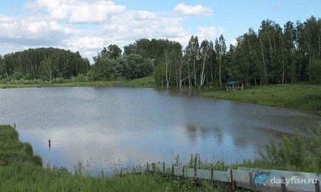 Рыбалка "Леоновы пруды"