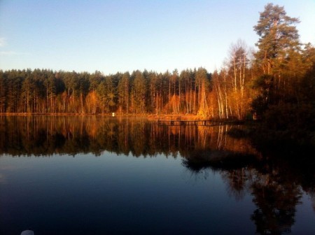 Рыбалка у Василича