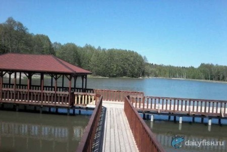 Рыбалка в Подзоричах