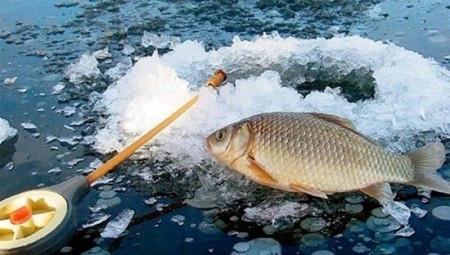 Ловля карася зимой на мормышку: секреты, снасти и реальный опыт для богатого улова