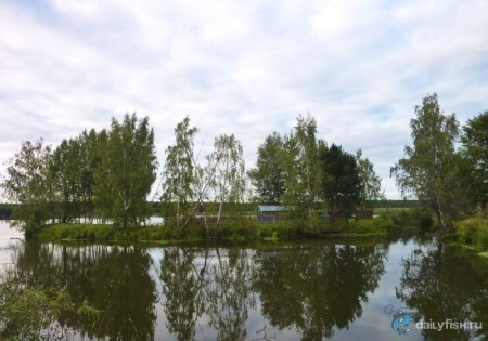 Клинский рыбхоз, участок "Дятлово"