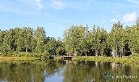 Рыбалка в Ваньково