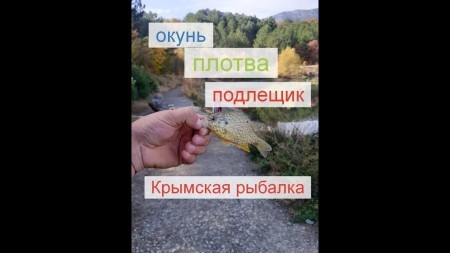 Окунь, подлещик и плотва. Крымская рыбалка в ноябре