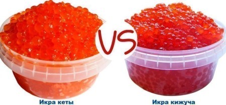 Как выбрать красную икру: сравнение кеты и кижуча, что вкуснее и полезнее