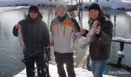 Платная рыбалка в Никитском