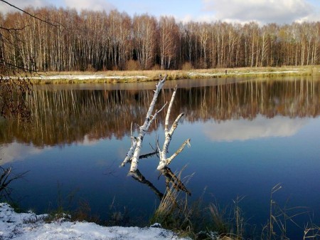 Лосиный остров