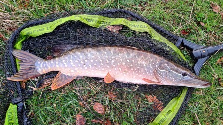 Обзор подсака для крупной рыбы BIG FISH TACKLE VERTICAL NET