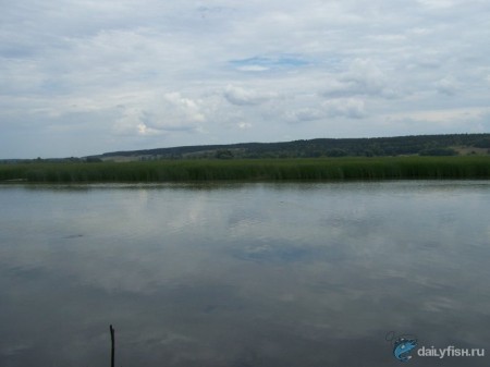 Устье реки Терешки