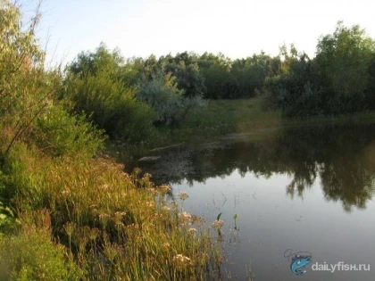 Староивановский пруд фото