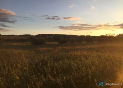 Рыболовно-охотничья база "Царская Охота" фото