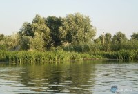 Дом для рыбаков и охотников в дельте Волги