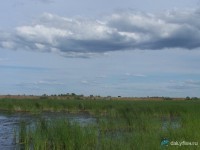 Курдюмский залив
