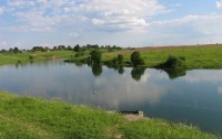 Рыбалка на Алёшинском пруду