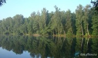 Гостевой дом "Лесная поляна"