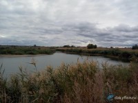 Дачные пруды