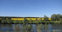 Платная рыбалка на Макаровском пруду