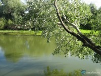 Старый Караман