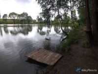 «Flying Fish» в Химках
