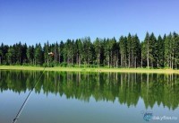 Рыбалка "Золотой карп" в Маклино