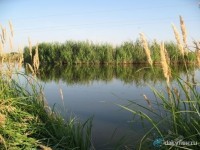 Пруд Золотое дно