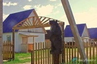 Рыболовно-охотничья база "Берег"