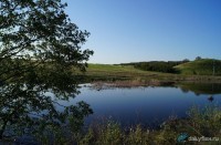 Пруд Свинокомплекс