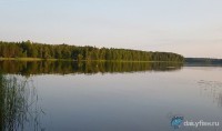 Дом охотника "Бобровец"