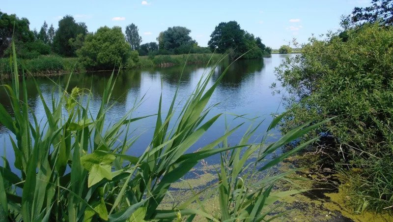 Река Северка