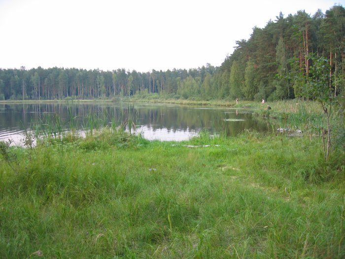 Черное озеро