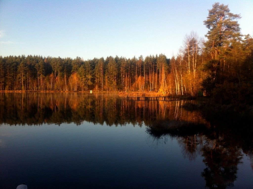 Рыбалка у Василича