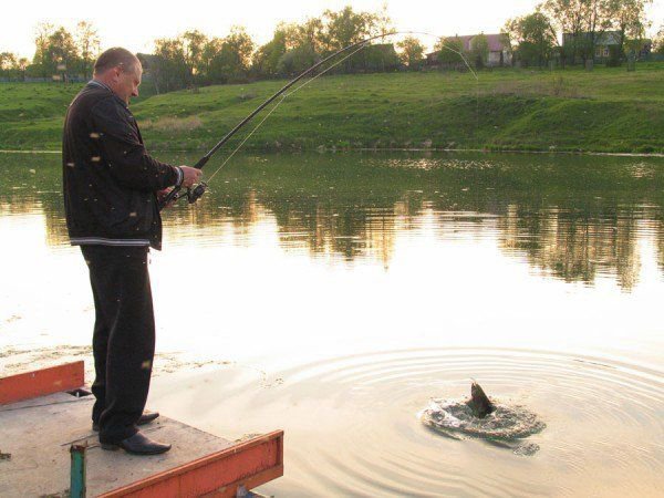 Рыболовный комплекс "Сытый кот"