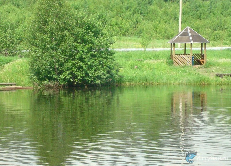 Культурно-рыболовное хозяйство "Светлые горы"