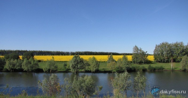 Платная рыбалка на Макаровском пруду