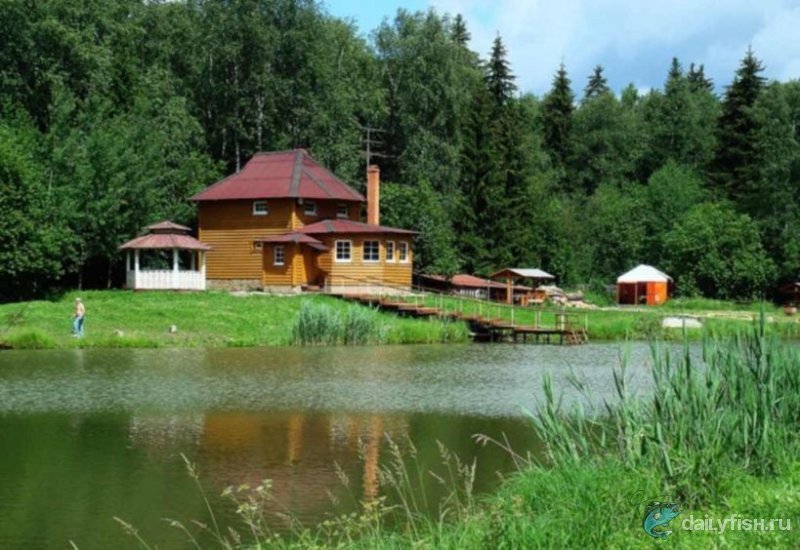 Платная рыбалка в клубе "Шамиран"