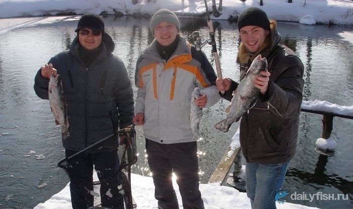 Платная рыбалка в Никитском