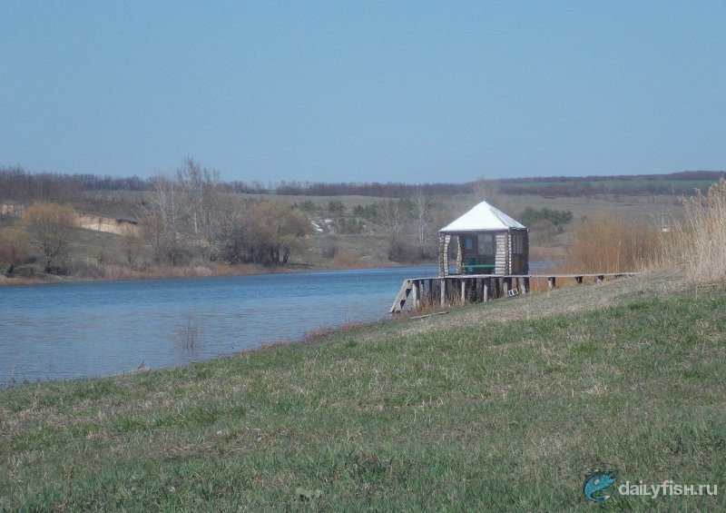 Рыбалка на пруду "Сазон"