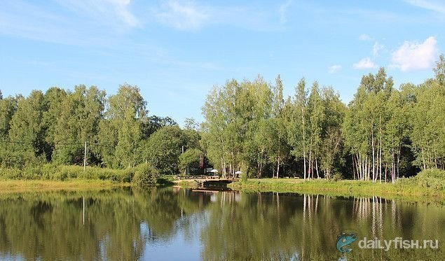 Рыбалка в Ваньково