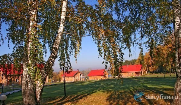 База отдыха "Кордон Донаурово"