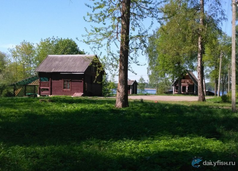 База отдыха "Руднёвка"