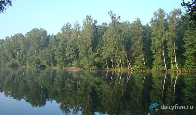 Гостевой дом "Лесная поляна"