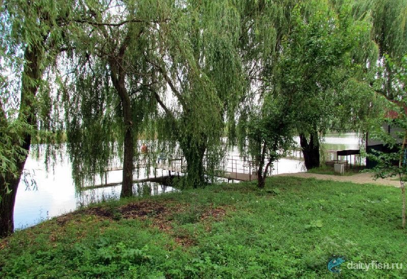 Гостиничный комплекс "Удача рыбака"