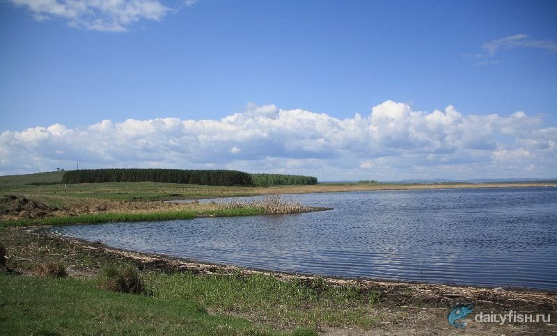 Карасинское прудовое хозяйство