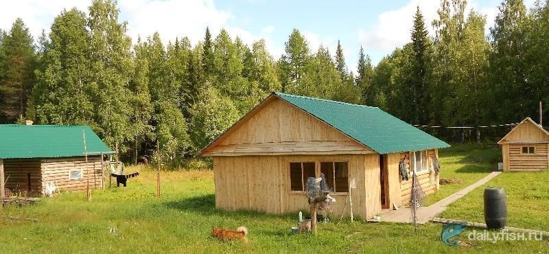 Охотхозяйство «КОИН»