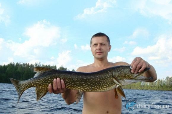 Рыбалка и отдых в Карелии, пос. Пяозерский