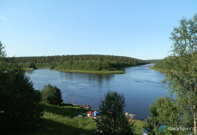 Рыбалка на базе "Лебяжья", река Поной